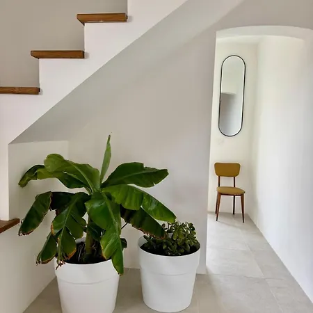 Familiale Confort Avec Piscine Spacieuse Villa